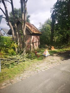 WhatsApp Image 2021-11-06 at 13.45.28